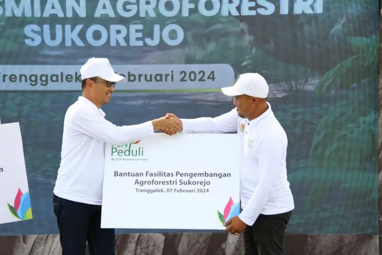 Agroforestri Sukorejo, Upaya Pulihkan Lahan dan Berdayakan Masyarakat