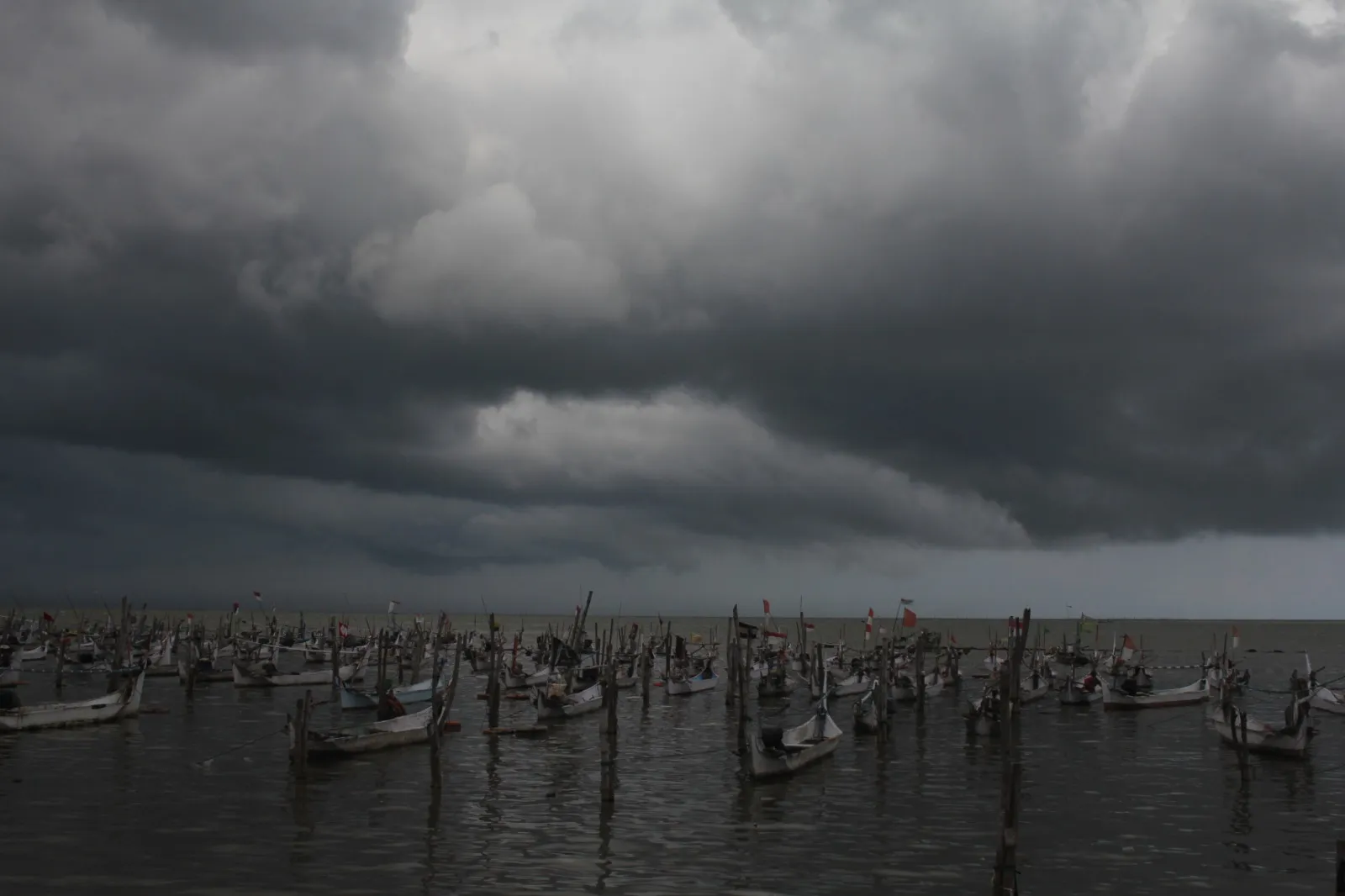 Aktifkan Early Warning System di 7 DAS Antisipasi Luapan Banjir
