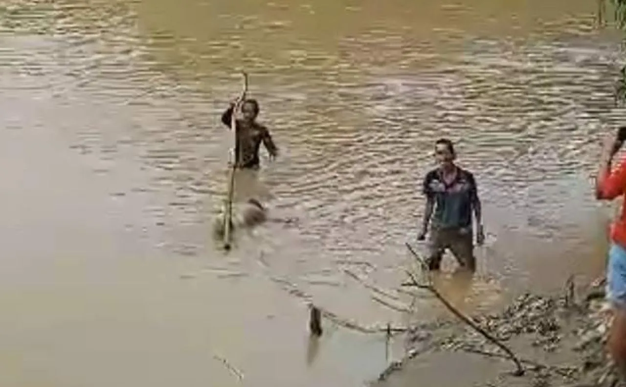 Jasad Didik Nugroho Ditemukan, Hanyut Sejauh 15 Km di Bengawan Madiun