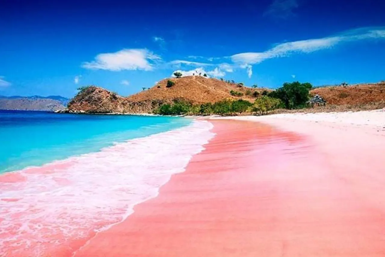 4 Desa Wisata yang Cocok Jadi Lokasi Petualangan di Lombok