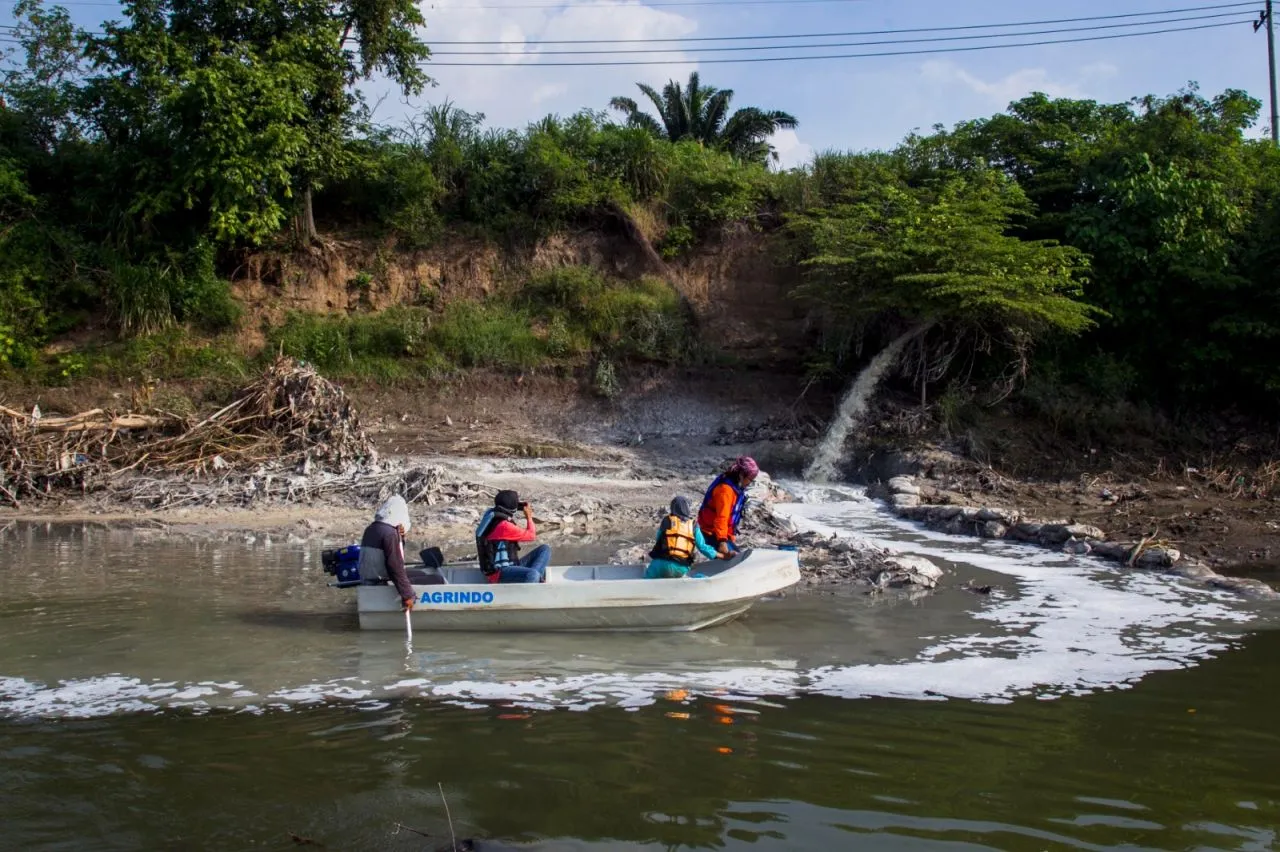 Sungai Brantas Makin Panas, Plankton Kali Brantas Punah