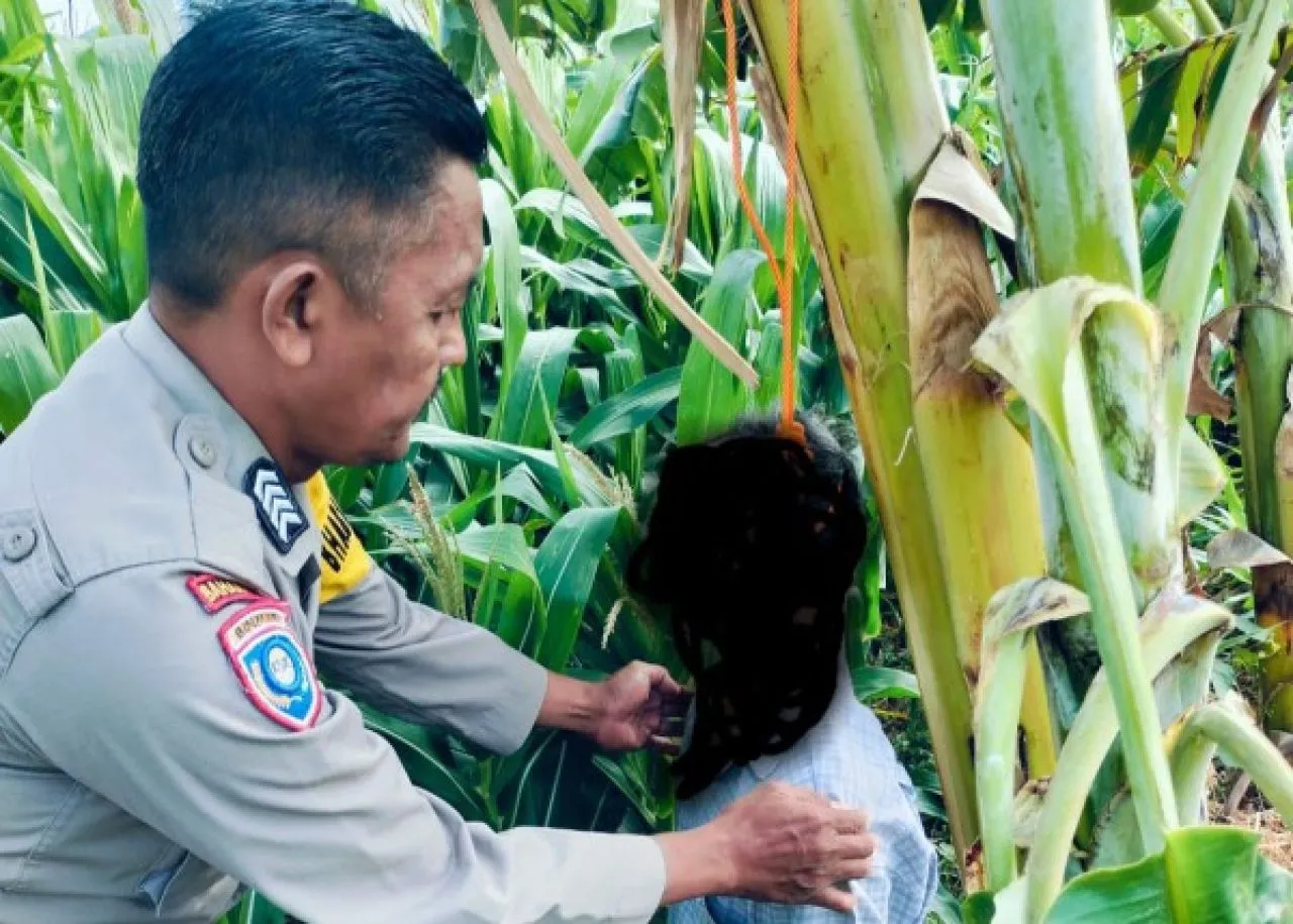 Kakek 70 Tahun Akhiri Hidup Gantung Diri di Pohon Pisang