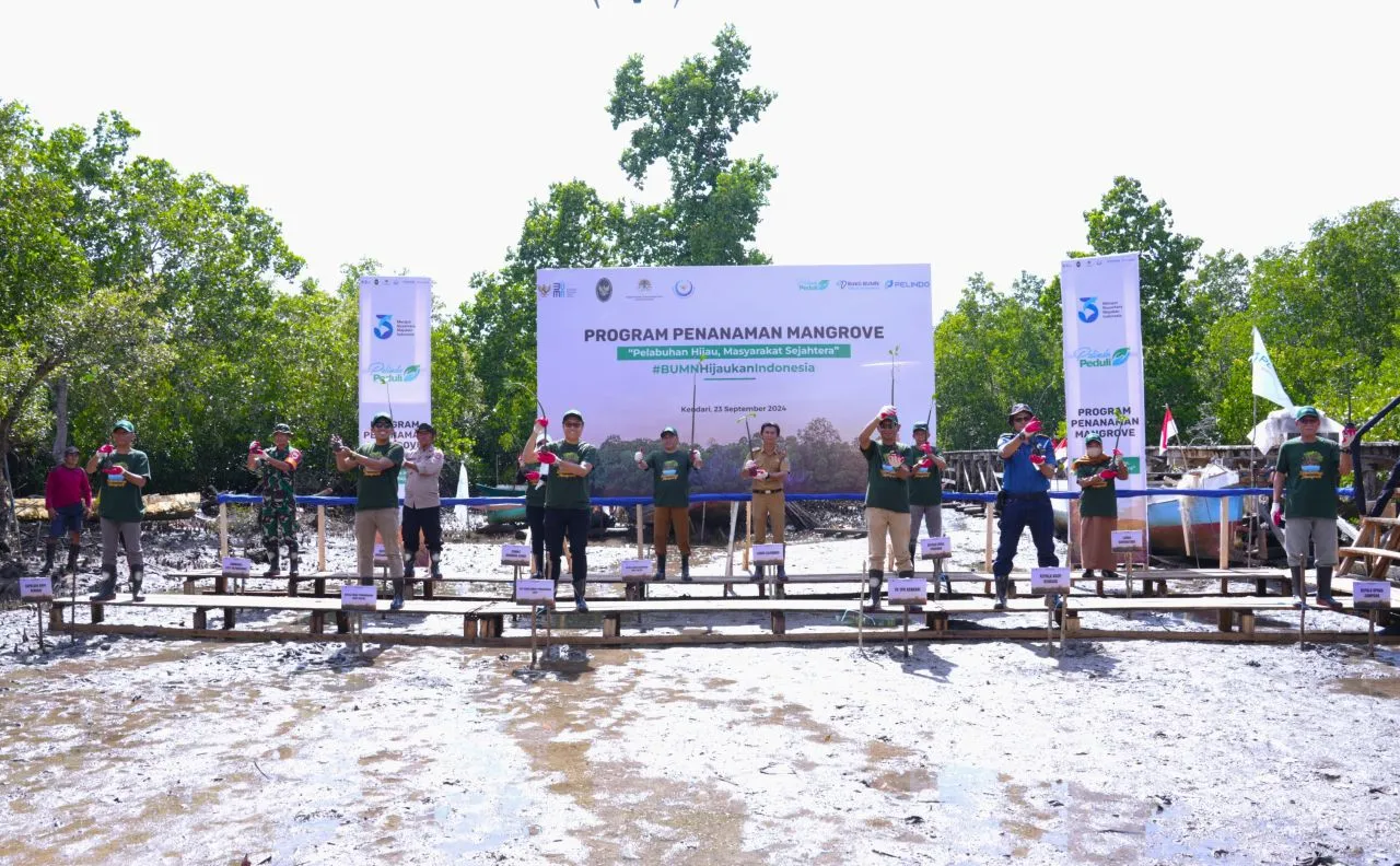 Pelindo Terminal Petikemas Rehabilitasi 25 Hektar Kawasan Mangrove di Sulawesi Tenggara