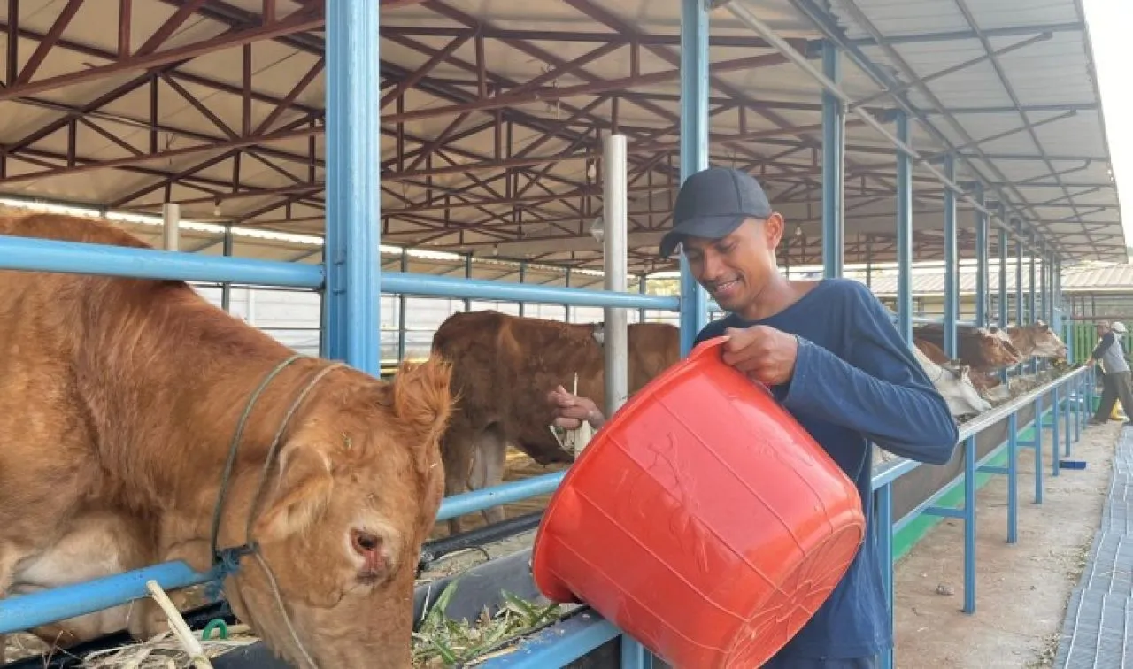 Komitmen Sinergi Sosial dan Lingkungan, PLN Nusantara Power Menangkan CID Award 2024