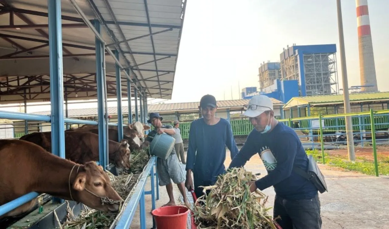 PLN Nusantara Power Hadirkan Solusi Hijau untuk Kemajuan Agrikultur Terpadu di Tuban