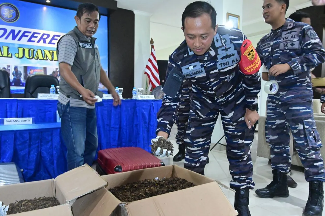 Satgaspam TNl AL Bandara Juanda Gagalkan Upaya Penyelundupan 54 Kg Komoditas Kalajengking