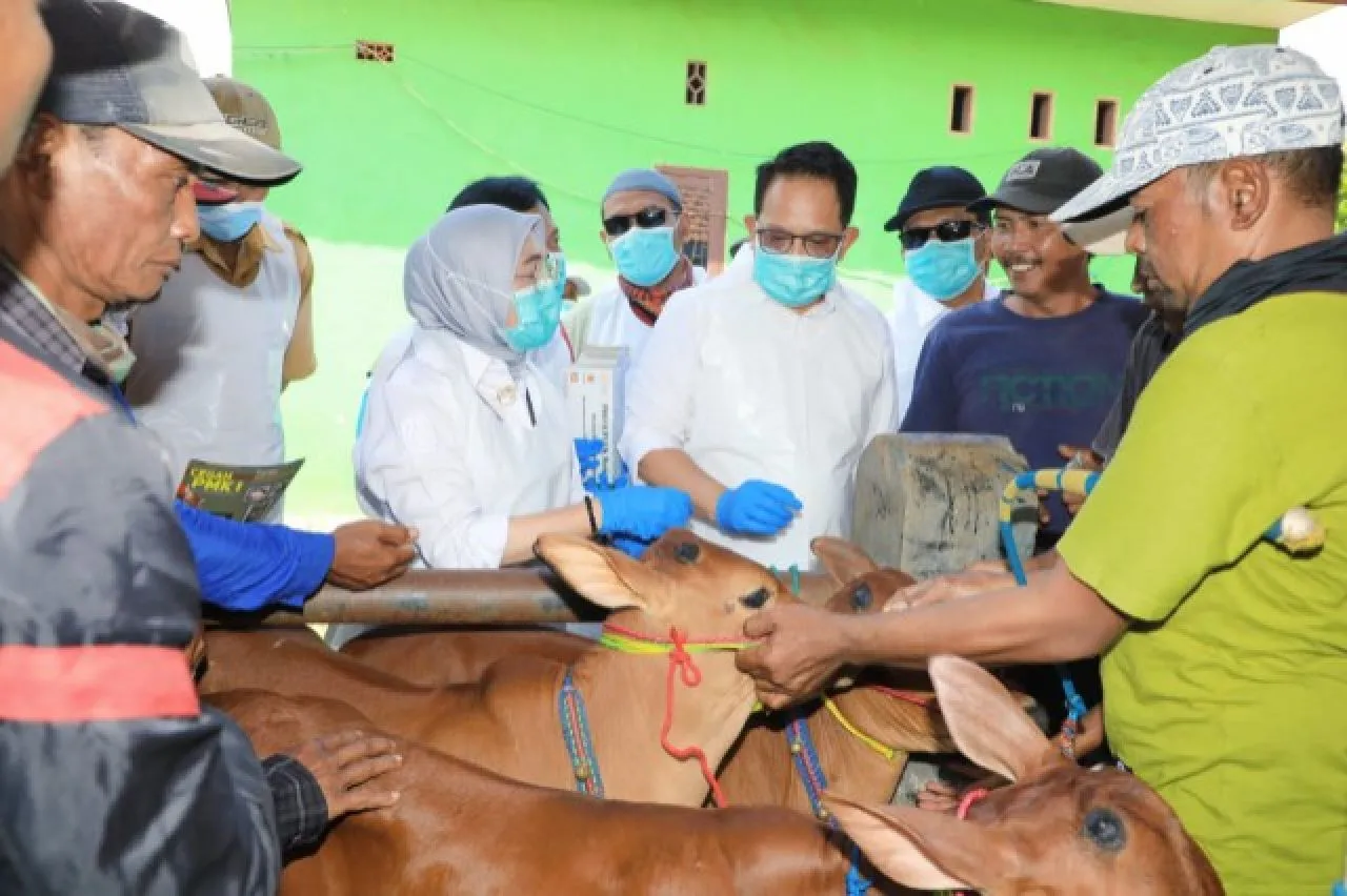 Tetapkan Status Darurat PMK, Pj. Gubernur Jatim Imbau Penanganan Dilakukan Cepat dan Holistik