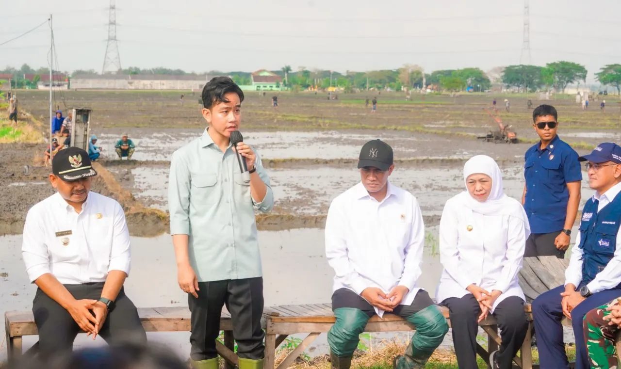 Dampingi Wapres Tanam Padi, Tinjau Pabrik Beras di Ngawi, Khofifah: Jatim Kontributor Padi Tertinggi