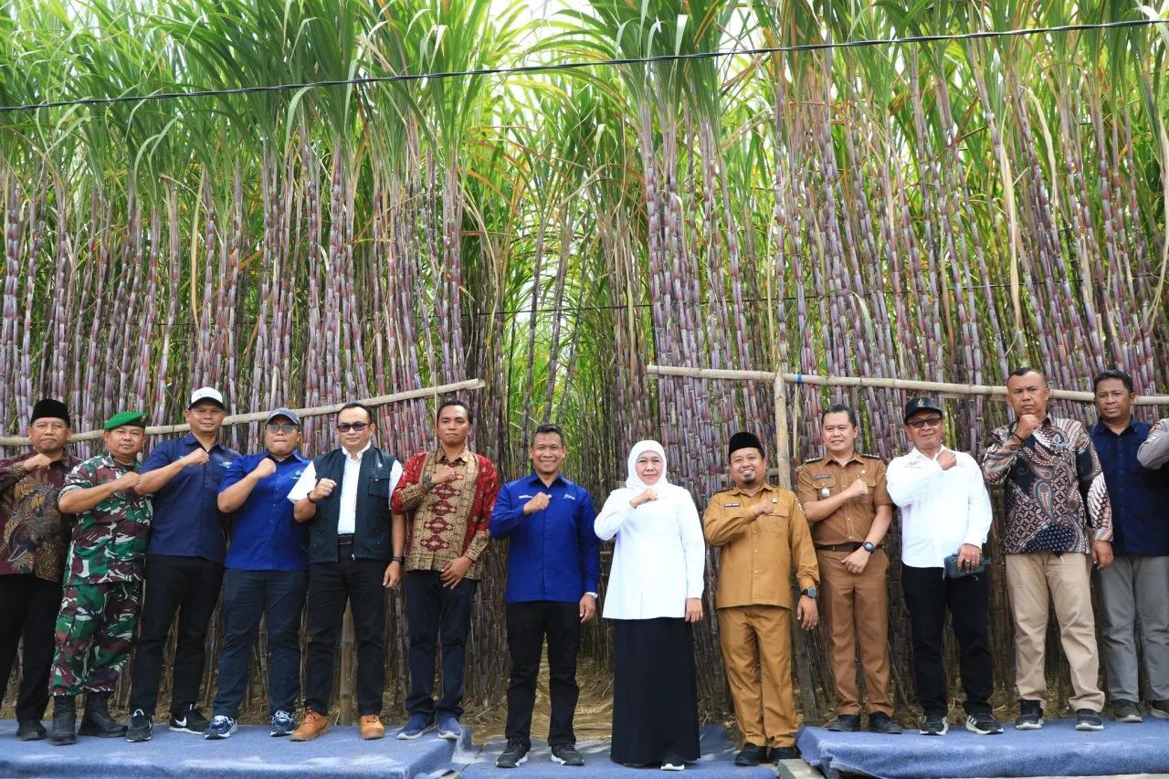 Gubernur Khofifah Luncurkan KURKhusus Petani Tebu Jatim