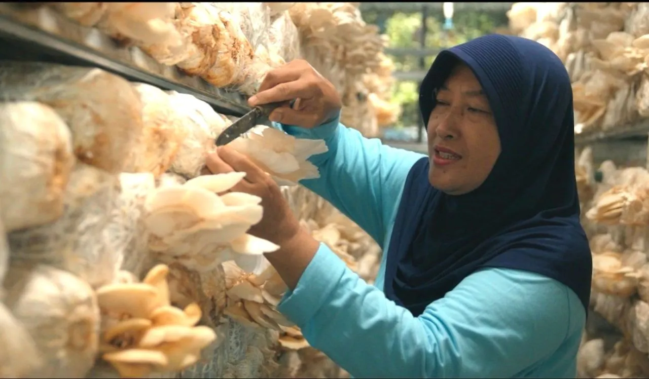 PLN Nusantara Power UP Gresik Melalui CSR Berkelanjutan Angkat Ekonomi Masyarakat 
