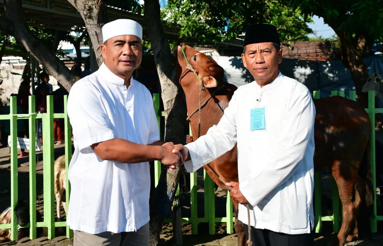 Komandan Puspenerbal, Usai Shalat Iduladha 1446 H, Serahkan Hewan Kurban 