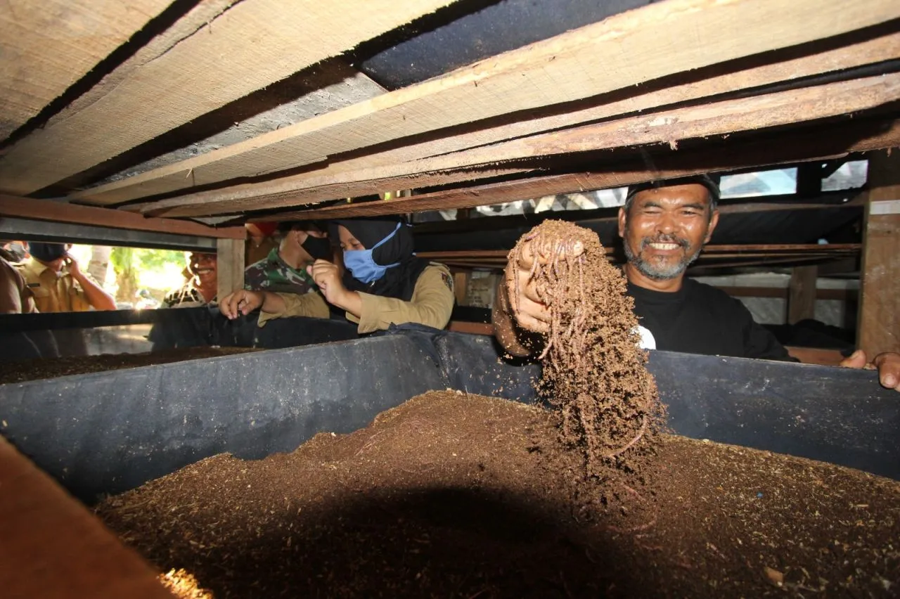 Ciptakan Ekonomi Sirkular Lewat Cacing, PLN Nusantara Power Bantu Warga Berdaya