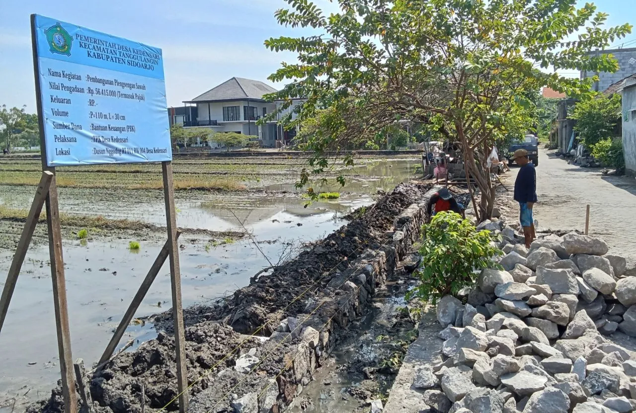 Bangun Plengsengan Sawah, Desa Kedensari Tanggulangin Manfaatkan Dana Desa Tahun 2025