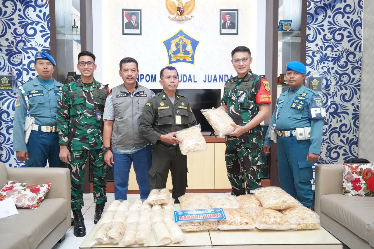 Satgaspam TNI AL Bandara Juanda Gagalkan Upaya Pengiriman Ilegal 16 Kg Sarang Burung Walet