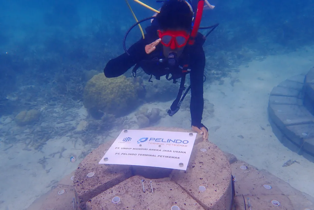 Pelindo Petikemas Tanam Terumbu Buatan APR di Laut Karimunjawa 