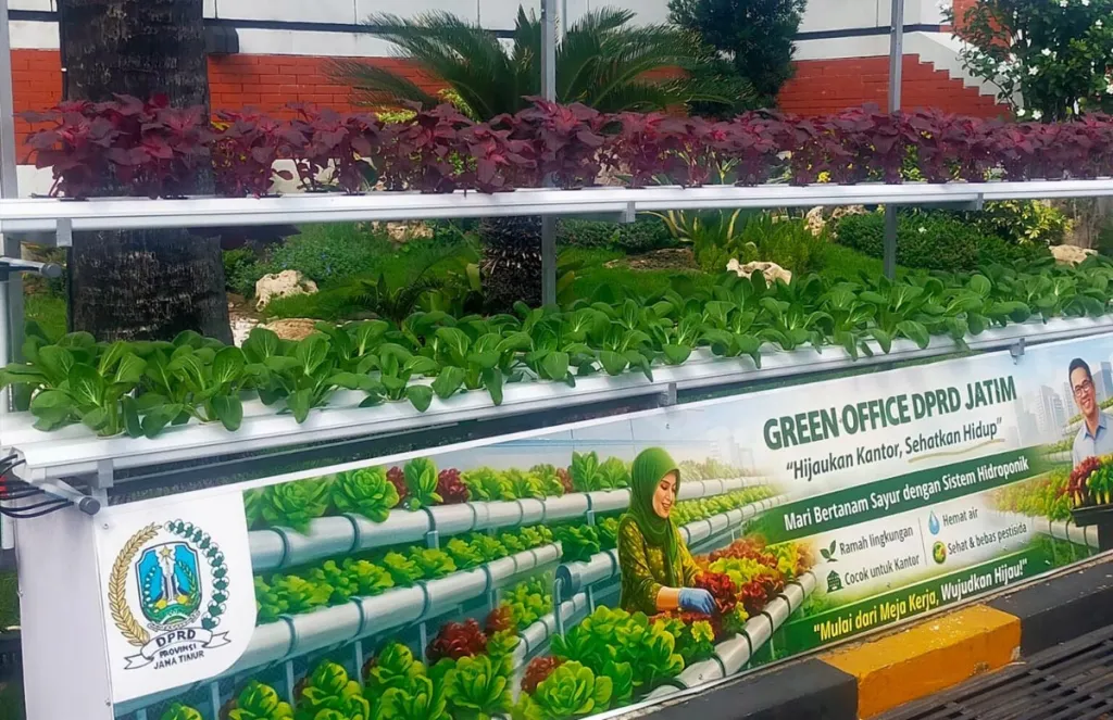 DPRD Jatim Ubah Halaman Jadi Kebun Hidroponik Produktif