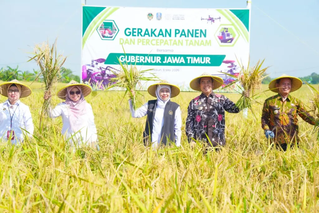 Gubernur Khofifah Pimpin Gerakan Panen dan Percepatan Tanam di Madiun