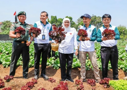 Gubernur Khofifah dan Pangdivif 2 Kostrad Tanam Pohon dan Panen Sayur